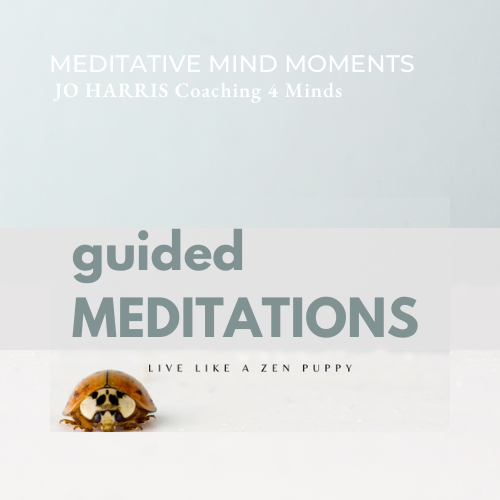 Meditative Mind Moments
