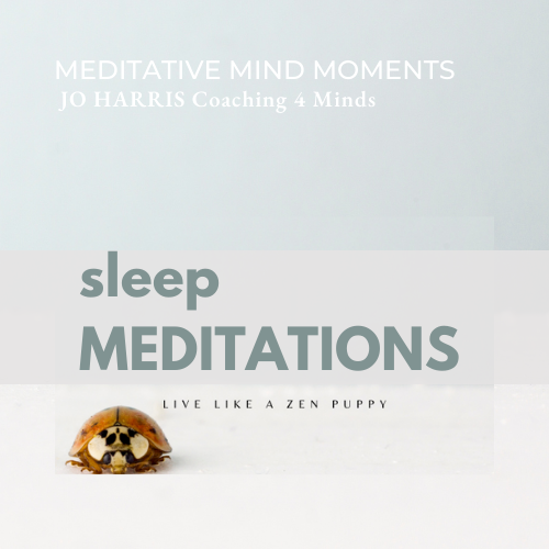 Meditative Mind Moments